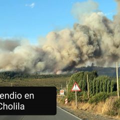 El incendio en Cholila se encuentra circunscripto y continúan las tareas de control en El Hoyo y El Maitén  