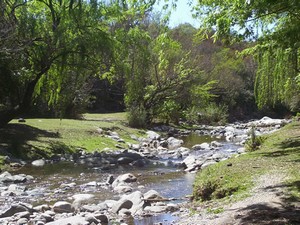 Camping Municipal El Algarrobo