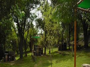 Camping El Apeo. Flor Serrana