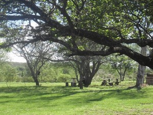 El Paraíso. Camping y Cabañas