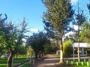 Camping Los Ríos